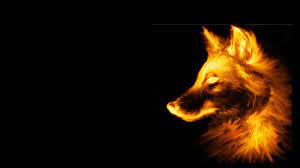 We did not find results for: Cool Fox Wallpapers Top Free Cool Fox Backgrounds Wallpaperaccess