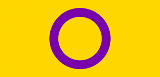 Bandeira não binária bandeira trans bandeira androsexual. Intersex O Que Voce Precisa Saber Sobre O I Em Lgbti No Dia Da Visibilidade Intersexual Grupo Dignidade