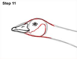 Click the image to enter the gallery mode. Cartoon On Net Cartoon Goose Flying