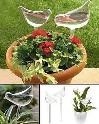 Bird Snail Self Watering Glass Globe Various Designs In 2021 Self Watering Plants Watering Bulbs Hanging Plants