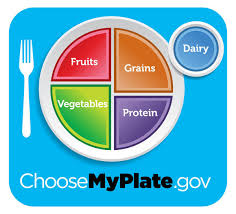 What should fill my plate—protein, veggies or carbs? // News // Campus  Dining // University of Notre Dame