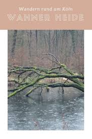 Auf Der Huhnerbruch Tour Durch Die Wahner Heide Das Fliegende Klassenzimmer Ausflug Ausflug Nrw Reisen Deutschland