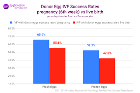 Donor Egg Ivf Success Rates The Truth Clinics Don T Tell You