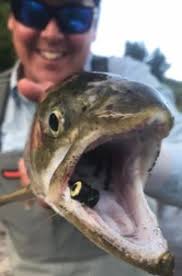 Tourists directional signage has been peeled off TRM sign…