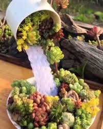 Diy Planter For Mini Succulents Diy Howtobe Mini Planter Succulents Diy Howtobe Mini Planter Succulents Sukkulenten Pflanzen Pflanzideen