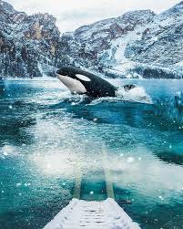 Mesmerizing Photo Manipulations by Ted Chin