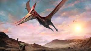 Maybe you would like to learn more about one of these? Fossil Scientists Find Frozen Dragon Pterosaur In Canada Cbbc Newsround