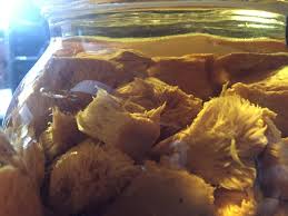 Our mushroom tincture is extracted using a double extraction technique that involves a month long alcohol soak followed by a hot water decoction for optimal extraction of both alcohol and water soluble constituents. Lion S Mane Tincture Susquehanna Sustainable Enterprises