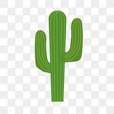 Cacto Cacto Desenho Animado Plantar Imagem Png E Vetor Para Download Gratuito Cactus Png Clipart De Cactus Cactus Dibujo