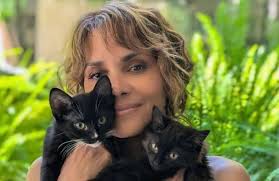 Halle Berry stripped and covered her chest with two of her cats to  celebrate the 20th anniversary of her 'Catwoman' film