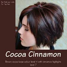 Dark Brown With Mahogany Highlights Cinnamon Hair Hair Styles Short Hair Styles