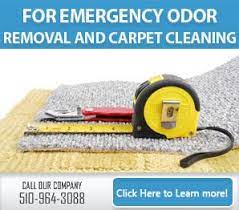 Top 10 carpet cleaners near berkeley, ca. Carpet Cleaning Berkeley Ca 510 964 3088 Best Service