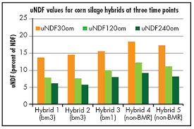 Fuel For The Bmr Corn Silage Debate