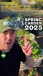 My 1/3-acre suburban garden is STACKED right now... 30 types of lettuce,  rows of veggies, fruit trees, and even an ice cream bean (haven’t eaten  that yet, let me know if you’ve tried it yourself). If ...