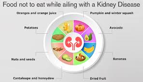 Kidney Diet Chart By Karma Ayurveda Hospital