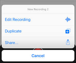 Head on to the music tab. How To Transfer Voice Memos From Iphone To Pc With Ease