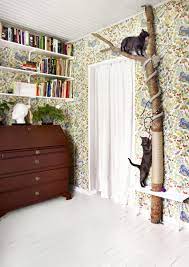 For a catio you can enjoy too, the sanctuary™ and oasis™ plans are a purrfect choice with space for human seating. 5 Diy Project The Most Extreme Cat Lovers Should Try Apartment Therapy