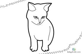 Malvorlagen Katzen Umrisse Kostenlose Malvorlagen