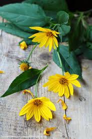 Check spelling or type a new query. Mini Strudel Di Topinambur Il Primo Dono Dell Autunno Per Una Ricetta A Km 0 Le Mie Ricette Con E Senza