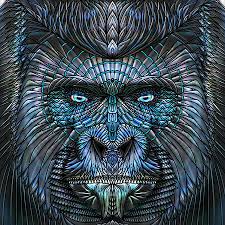 Pellvetica — worx @ ShockBlast