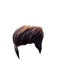 Pin By Jass Manak On Chhotu Hair Png Photoshop Hair Download Hair