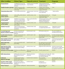 Knees Up Stifle Lameness In Horses The Horse Magazine Australia S Leading Equestrian Magazine Horse Health Cruciate Ligament Injury Human Knee