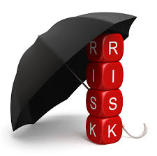 نتيجة بحث الصور عن ‪risk management‬‏