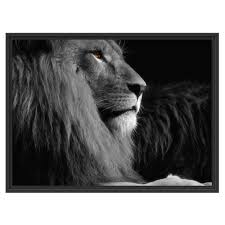 Black And White Lion Picture Framed East Urban Home Beautiful Proud Lion Framed Graphic Art Print Posters Art Prints Graphic Art Print Photographic Art