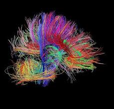 Look Closely These Remarkable Images Are Synapses In The Brain Brain Art Microscopic Photography Mind Blowing Images