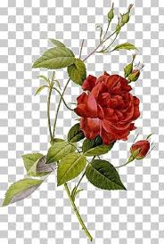 She reached the stage and point to the sky one last time. Rumble Roses Lori Loud Art Png Clipart Area Art Artwork Cartoon Comics Free Png Download