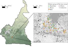 Oct 11, 2018 · their new online map shows the locations of over half a million fruit trees, berries, nuts, herbs, vegetables, mushrooms, and other food sources around the world, including 2,500 dumpster bins. Plos One Trees And Their Seed Networks The Social Dynamics Of Urban Fruit Trees And Implications For Genetic Diversity