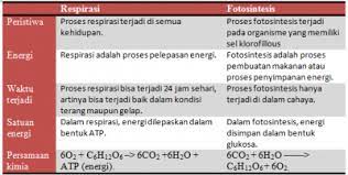 We did not find results for: 4 Perbedaan Respirasi Dan Fotosintesis Konsep Pentingnya Usaha Tiga Dua Satu