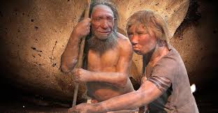 I dette dalavsnittet oppdaget steinbruddsarbeidere i august 1856 seksten knokkelfragmenter fra det som skulle bli kalt neandertalere. Neandertaler Quiz Wie Gut Kennen Sie Unseren Urzeitlichen Vetter Scinexx De