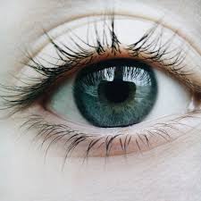 Dark Brown Aqua Green Dark Blue Eyes Dark Green Eyes Beautiful Eyes Color
