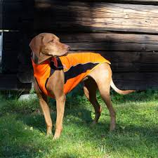 Eddie High Visibility Reflective Orange Jumper for Dogs