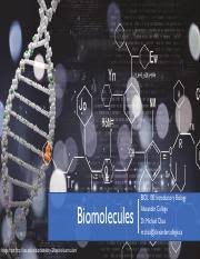 The information in dna is stored as a code made up of four chemical bases: Biol100e Wk 3 Biomolecules Pdf Biomolecules Image From Http Vsc Edu In Biochemistry 2 Beyond Curriculum Biol 100 Introductory Biology Alexander Course Hero