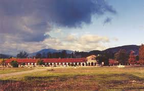 The economy at mission san antonio de padua was similar to the other missions in that they planted crops of wheat and corn. San Antonio De Padua Key Facts California Missions Resource Center