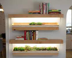 Kitchen & tabletop you'll love in 2021. 29 Micro Green Shelves Ideas Green Shelves Microgreens Herbs Indoors