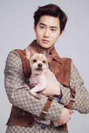 K Pop Idols Who Own The Cutest Dogs Kpopmap Kpop Kdrama And Trend Stories Coverage
