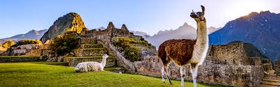 Free shipping on orders over $25 shipped by amazon. Pachamama 18 Tage Geniesser Reise Peru Chamaleon