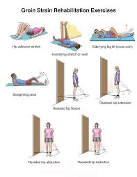Groin Strain Rehabilitation Ouch Rehabilitation Exercises Hip Flexor Exercises Exercise