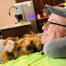 My daughter and our little Yorkie family♥️ #yorkielove