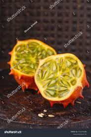 Image result for Cucumis metuliferus