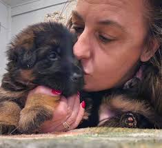 Sterley Shepherds added a new photo.