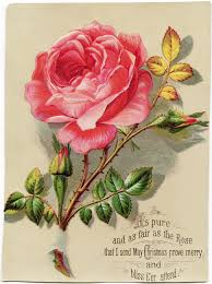 The back of the card features stats from his playing career to that point. Victorian Christmas Rose Card Old Design Shop Blog