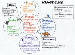Classification Kingdoms Animal Classification For Kids Photosynthesis Animal Classification