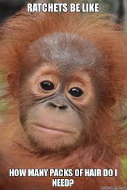 Long Hair Don T Care Baby Orangutan Orangutan Orangutang