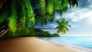 We have 569,326 awesome users, of whom 271 are online right now! Fond D Ecran De Plage 4k Hd Fond D Ecran 4k 3840x2160 Wallpapertip