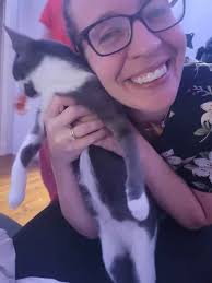 Deceased cat found in Wilmington at VCA Kirkwood