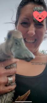 Funky geese pictures shared